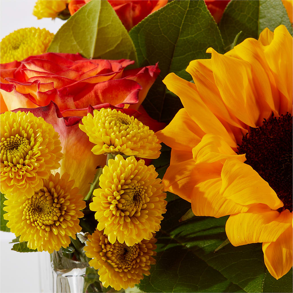 Picnic in the Park Bouquet –  Hawes Florist Llc, Maynard MA