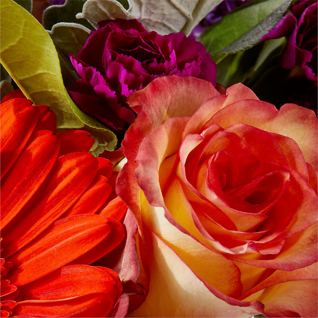 Sangria Bouquet –  Hawes Florist Llc, Maynard MA