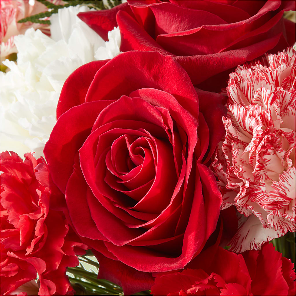 Candy Cane Lane Bouquet –  Hawes Florist Llc, Maynard MA