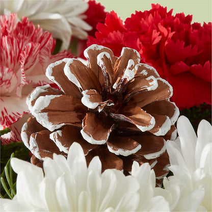 Candy Cane Lane Bouquet –  Hawes Florist Llc, Maynard MA