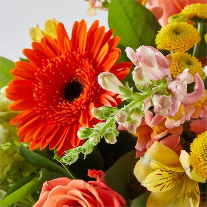 Autumn Sunshine Bouquet –  Hawes Florist Llc, Maynard MA