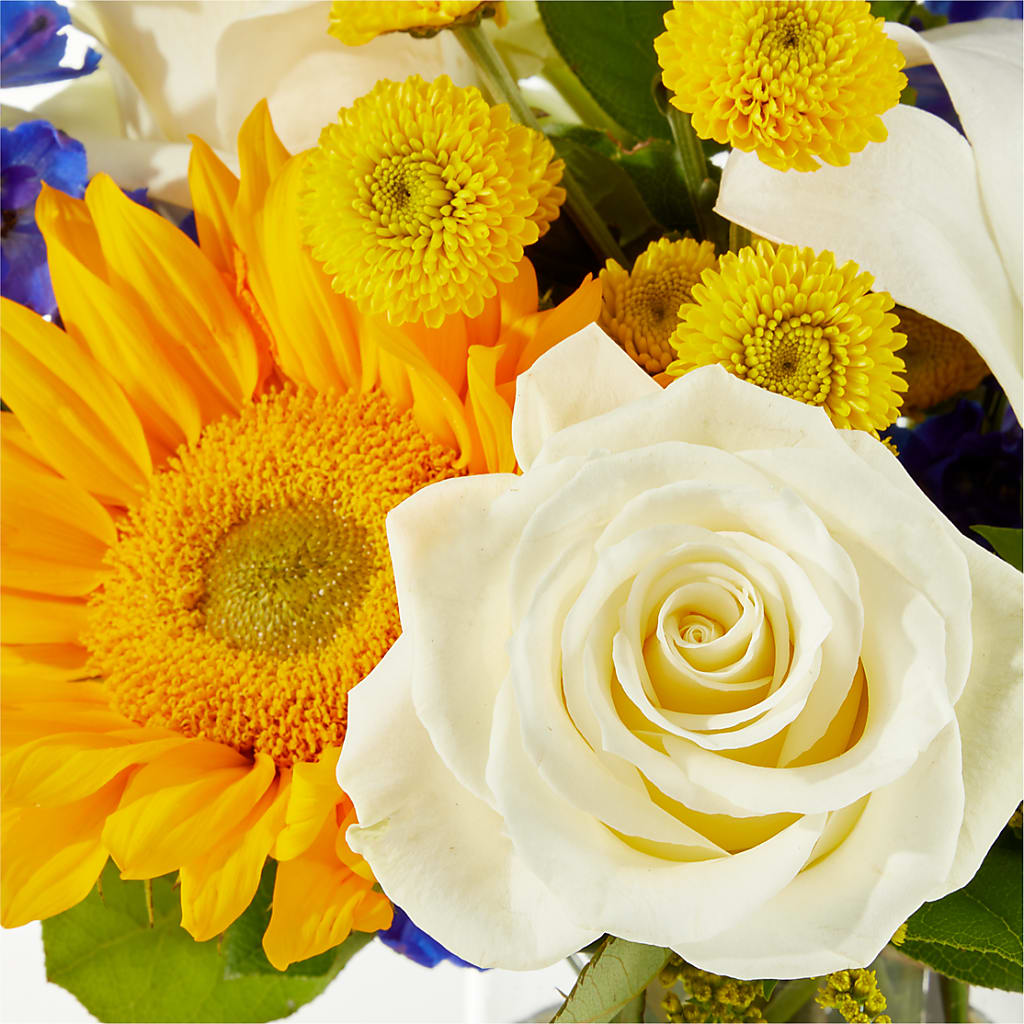 Stargazing Bouquet –  Hawes Florist Llc, Maynard MA