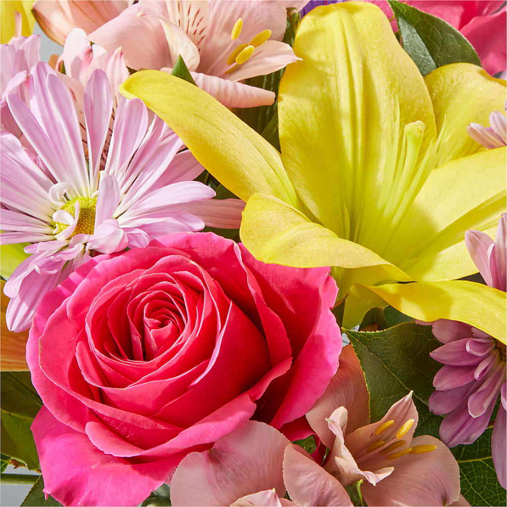 Sprinkles Bouquet –  Hawes Florist Llc, Maynard MA