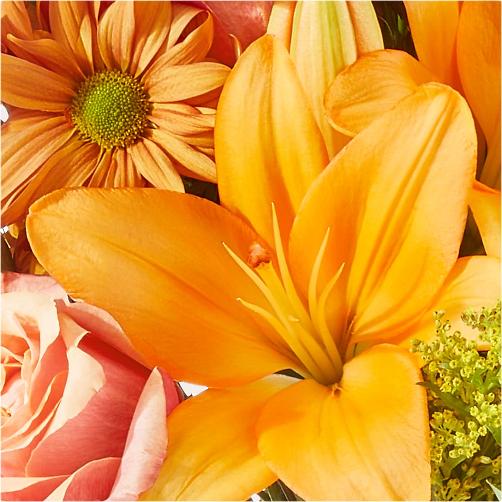 Harvest Hayride Bouquet –  Hawes Florist Llc, Maynard MA