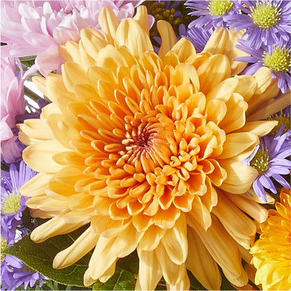 Countryside Bouquet –  Hawes Florist Llc, Maynard MA