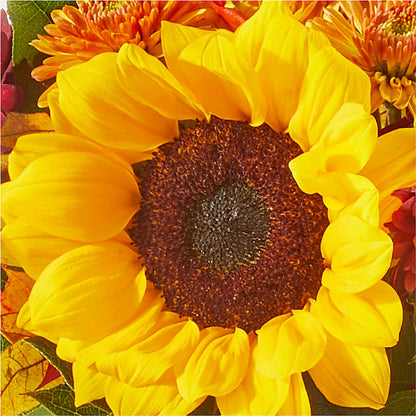 Sunny Side Bouquet –  Hawes Florist Llc, Maynard MA