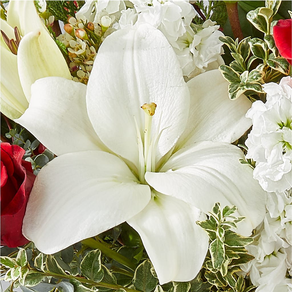Twinkle Lights Bouquet –  Hawes Florist Llc, Maynard MA