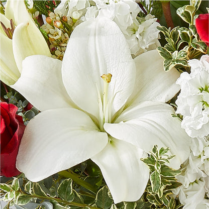 Twinkle Lights Bouquet –  Hawes Florist Llc, Maynard MA
