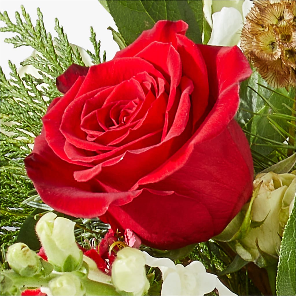 Deck the Halls Bouquet –  Hawes Florist Llc, Maynard MA