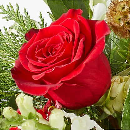Deck the Halls Bouquet –  Hawes Florist Llc, Maynard MA
