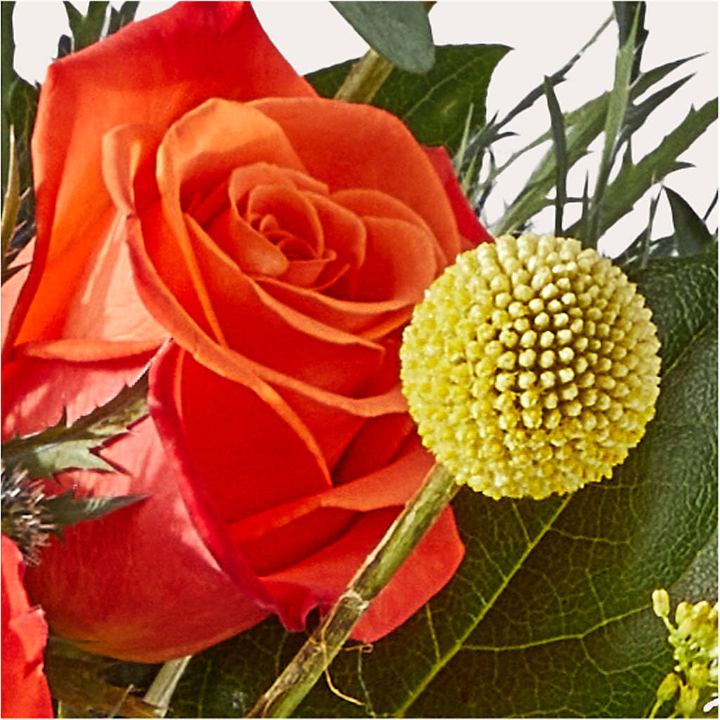 Disco Bouquet –  Hawes Florist Llc, Maynard MA