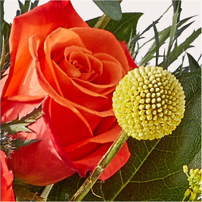 Disco Bouquet –  Hawes Florist Llc, Maynard MA