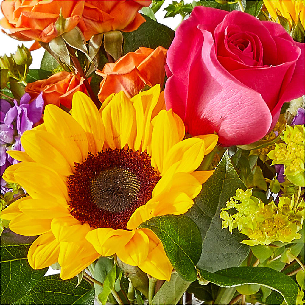 Vibrant Greetings Bouquet –  Hawes Florist Llc, Maynard MA
