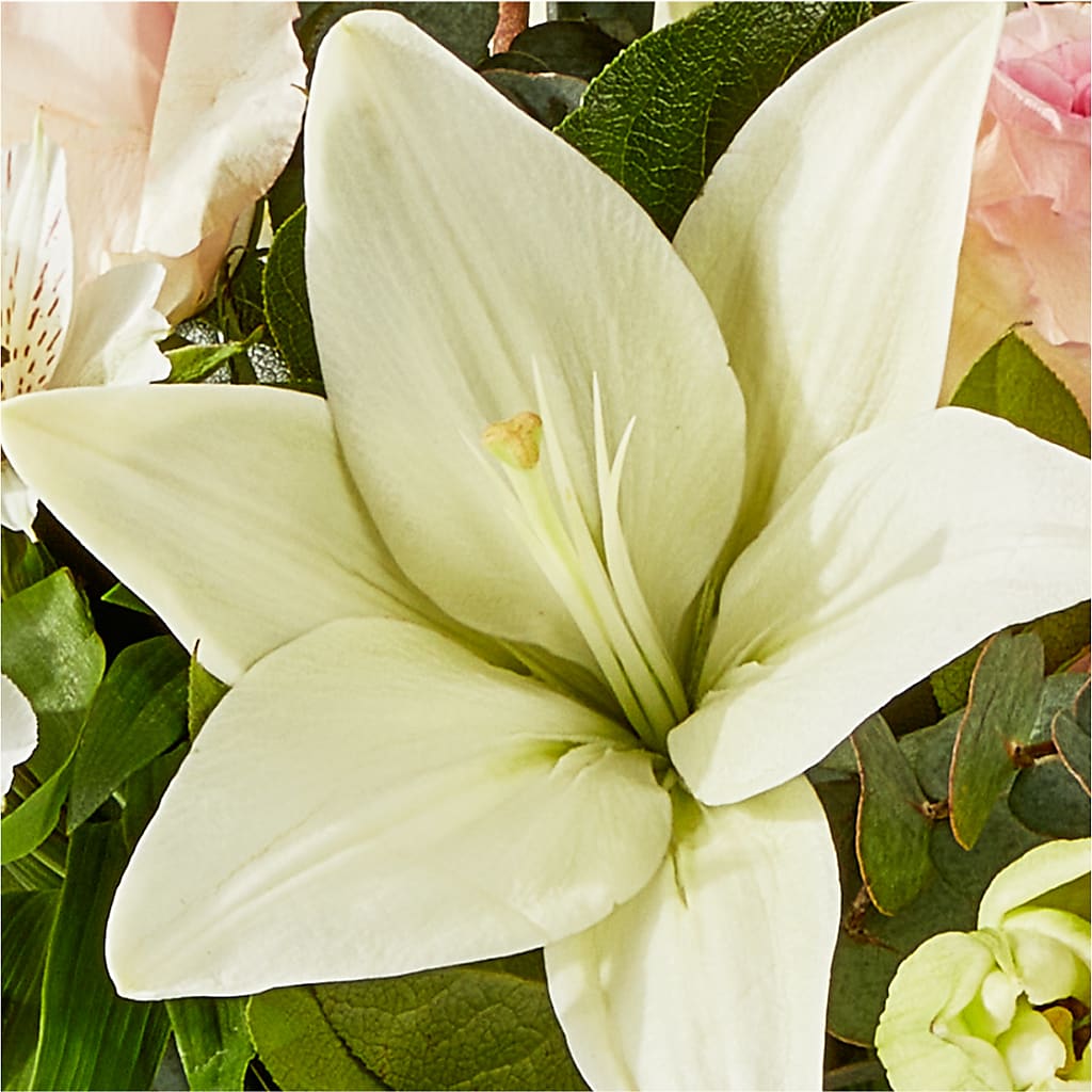 Ballet Slippers Bouquet –  Hawes Florist Llc, Maynard MA