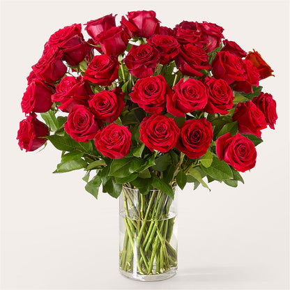 The One Red Rose Bouquet –  Hawes Florist Llc, Maynard MA
